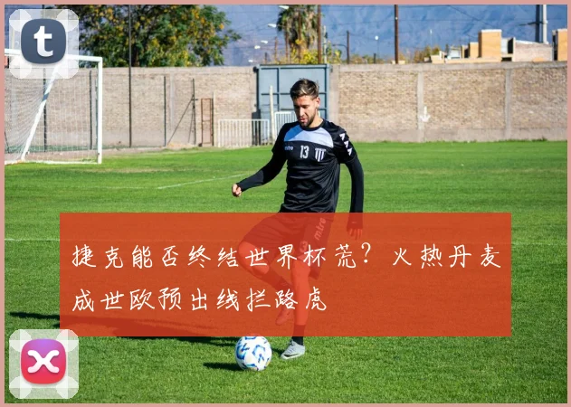 捷克能否终结世界杯荒？火热丹麦成世欧预出线拦路虎
